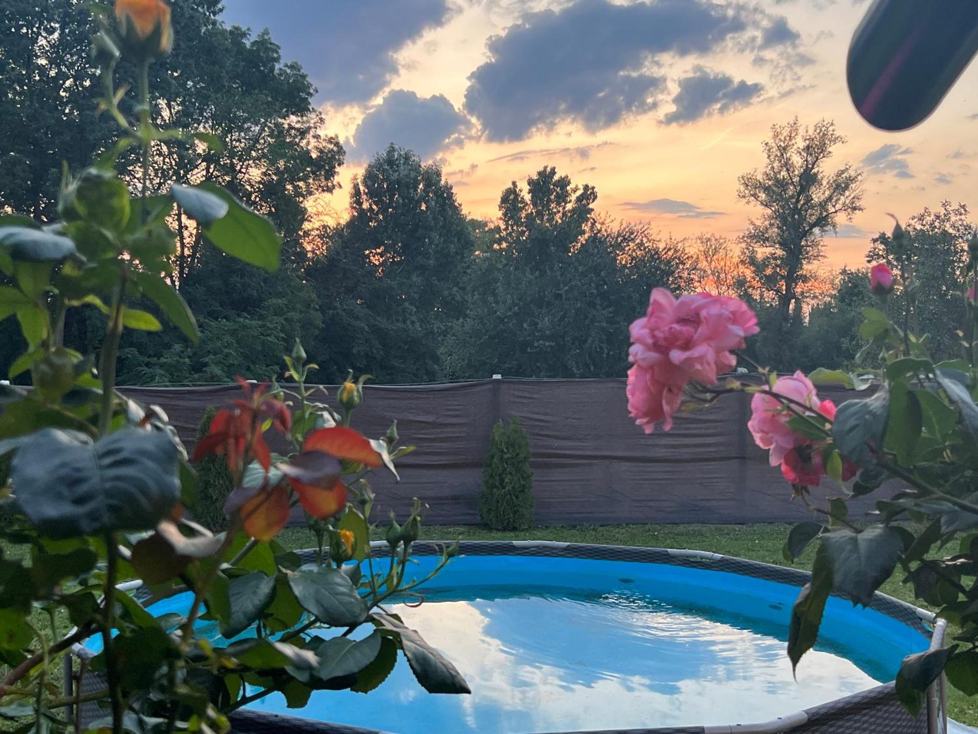 Arany Vendeghaz Villa Szarvas Luaran gambar