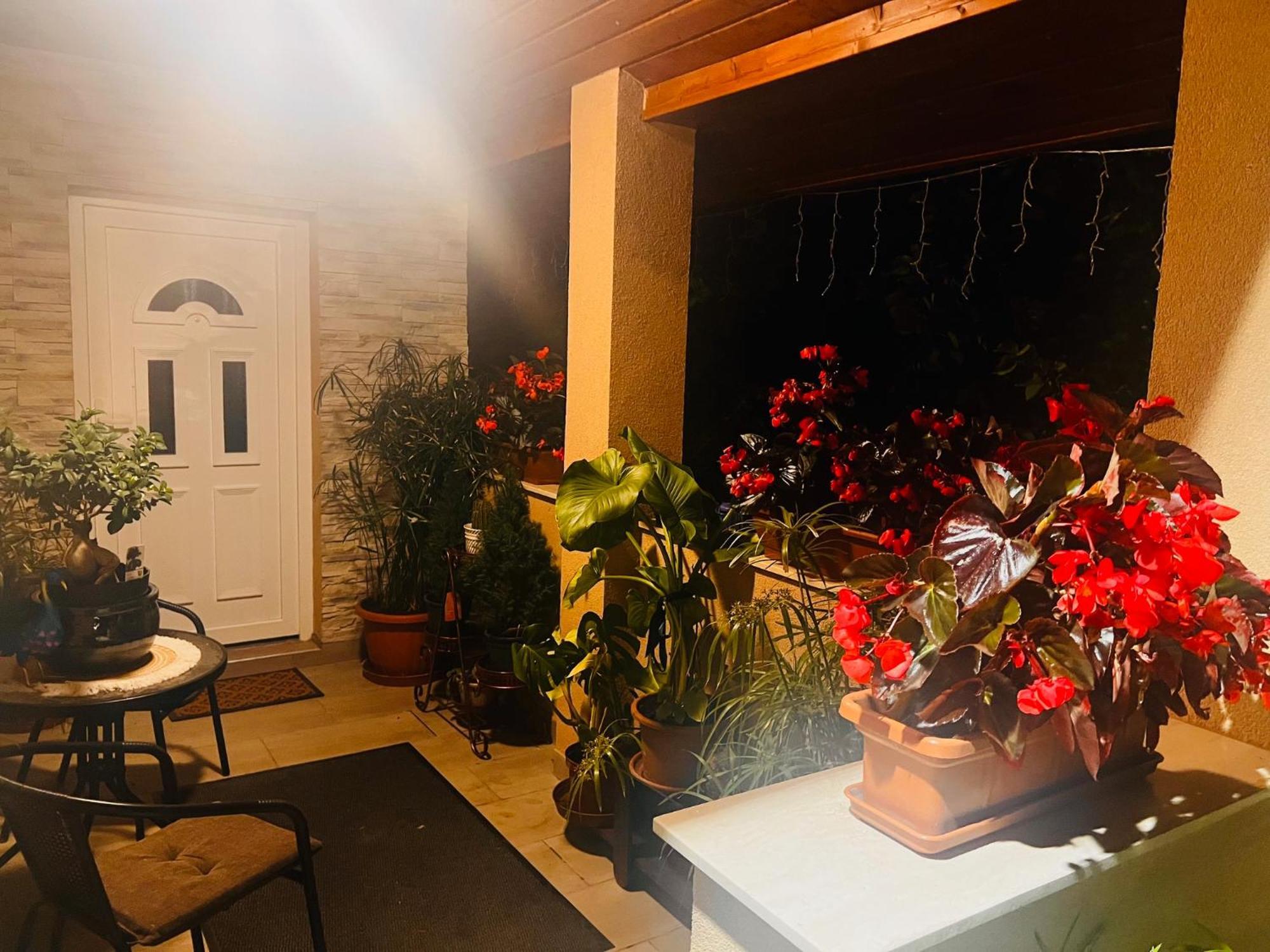 Arany Vendeghaz Villa Szarvas Luaran gambar