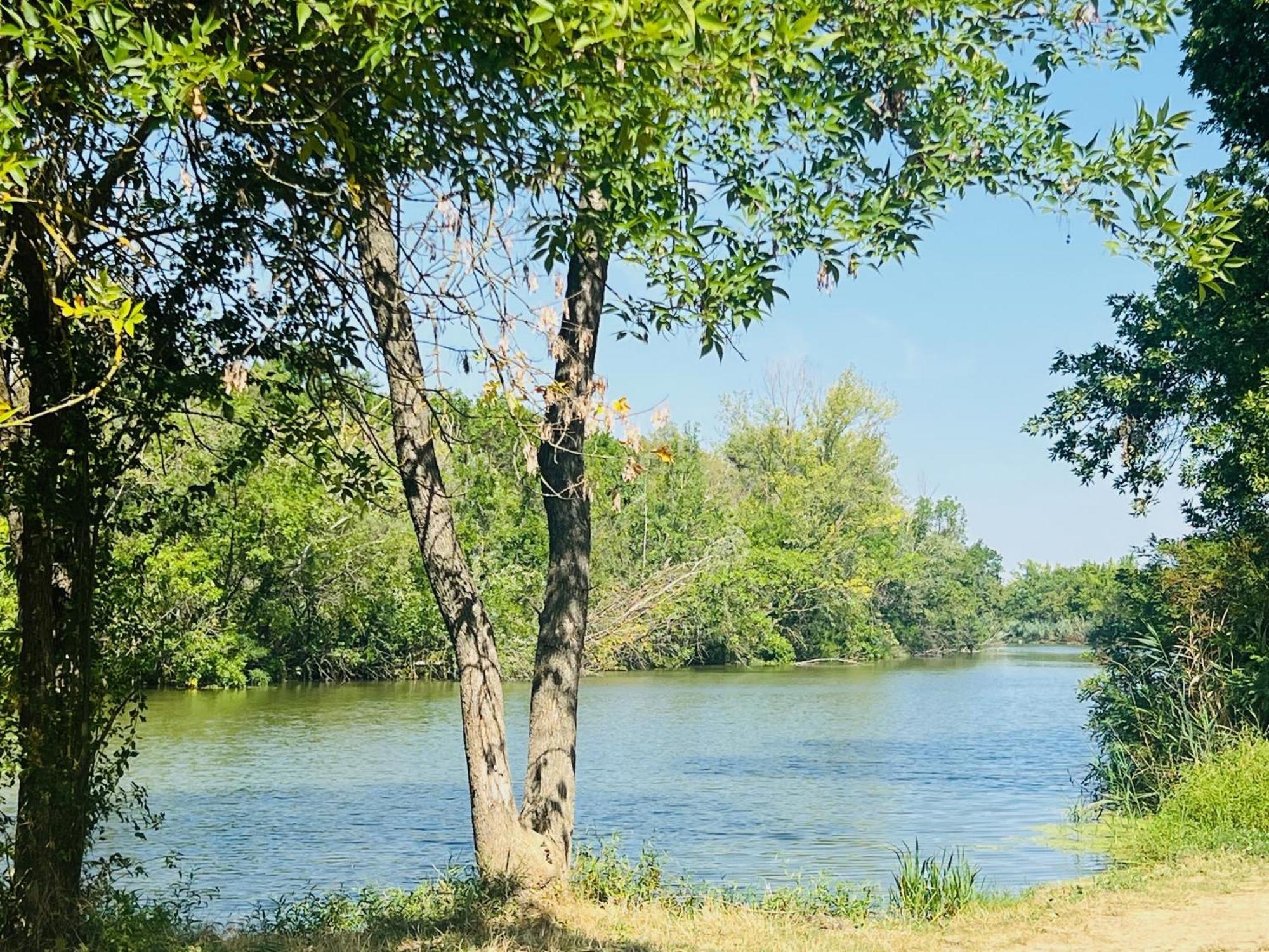 Arany Vendeghaz Villa Szarvas Luaran gambar